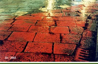 enolCover-200310.jpg